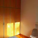 Apartament Fink *