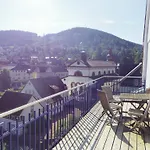 Apartament Fink Schramberg