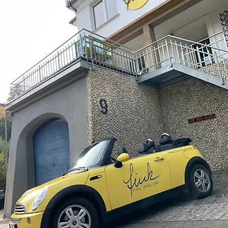 Fink Apartment Schramberg