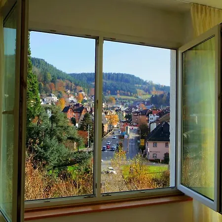 Fink Apartment Schramberg