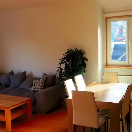 Fink Apartment Schramberg