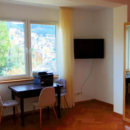 Fink Apartment