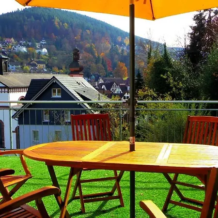 Fink Apartment Schramberg