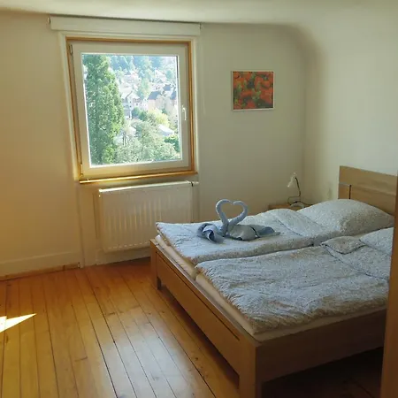 Apartment Fink